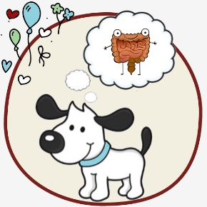 Picture for category Gastrointestinal Issues
