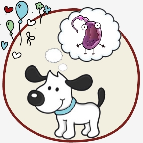 Picture for category Anal Gland Issues
